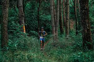 BIB: 
                            <button type="button" onclick="openModal(25236705)" class="btn btn-primary btn-sm float-right btn-popup" data-toggle="modal" data-target=".modal-high-quality">
                        <i class="fas fa-shopping-cart"></i> Add to Cart
                    </button>
                                            <button type="button" onclick="isThisMe(25236705, true)" class="btn btn-success btn-sm float-right btn-popup btn-isme hidden" data-toggle="tooltip" data-placement="bottom" title="นี่คือรูปของคุณใช่ไหม คลิกที่นี่เพื่อเอาเข้าอัลบั้ม">
                        <i class="fas fa-plus"></i> Add to album
                    </button>
                    <button type="button" onclick="isThisMe(25236705, false)" class="btn btn-warning btn-sm float-right btn-popup btn-isnotme hidden">
                        <i class="fas fa-ban"></i> Remove from album
                    </button>